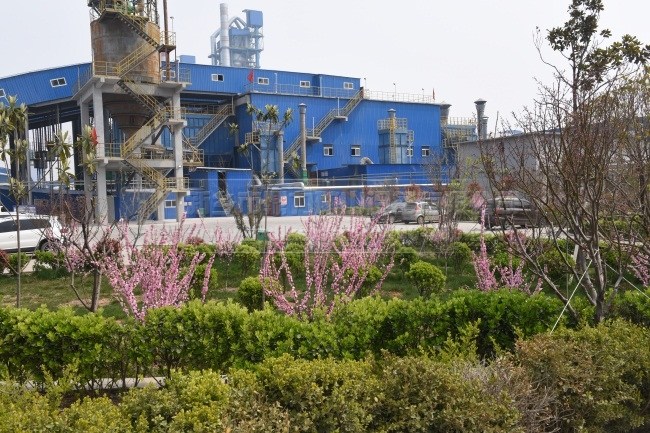 石料厂绿色植物隔音降噪带